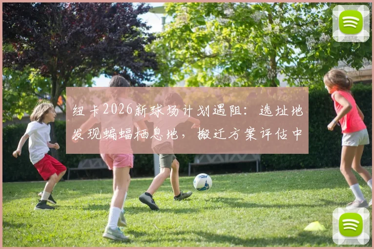 纽卡2026新球场计划遇阻:选址地发现蝙蝠栖息地,搬迁方案评估中