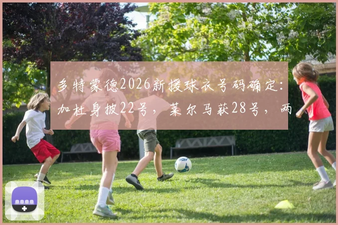 多特蒙德2026新援球衣号码确定：加杜身披22号，莱尔马获28号，两人将填补哪些位置？