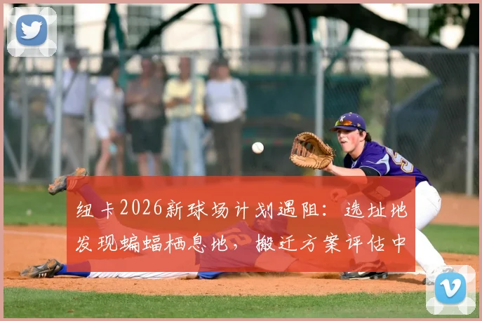 纽卡2026新球场计划遇阻:选址地发现蝙蝠栖息地,搬迁方案评估中