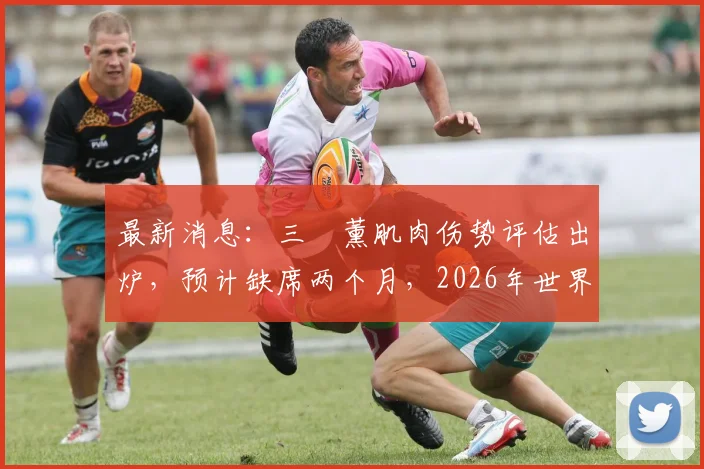 最新消息：三笘薰肌肉伤势评估出炉，预计缺席两个月，2026年世界杯征程蒙上阴影