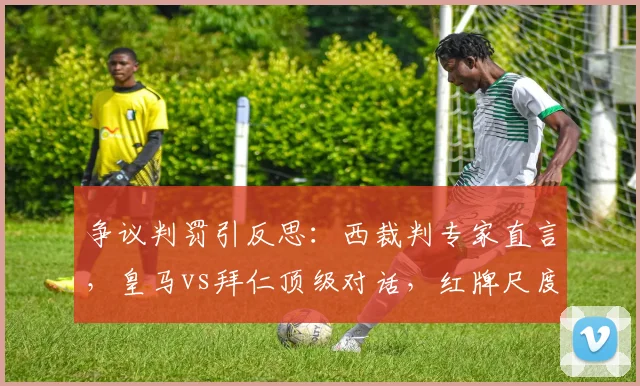 争议判罚引反思：西裁判专家直言，皇马vs拜仁顶级对话，红牌尺度亟待商榷