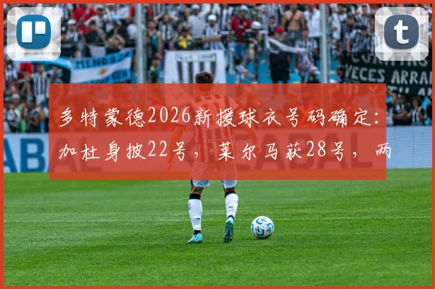 多特蒙德2026新援球衣号码确定:加杜身披22号,莱尔马获28号,两人将填补哪些位置?